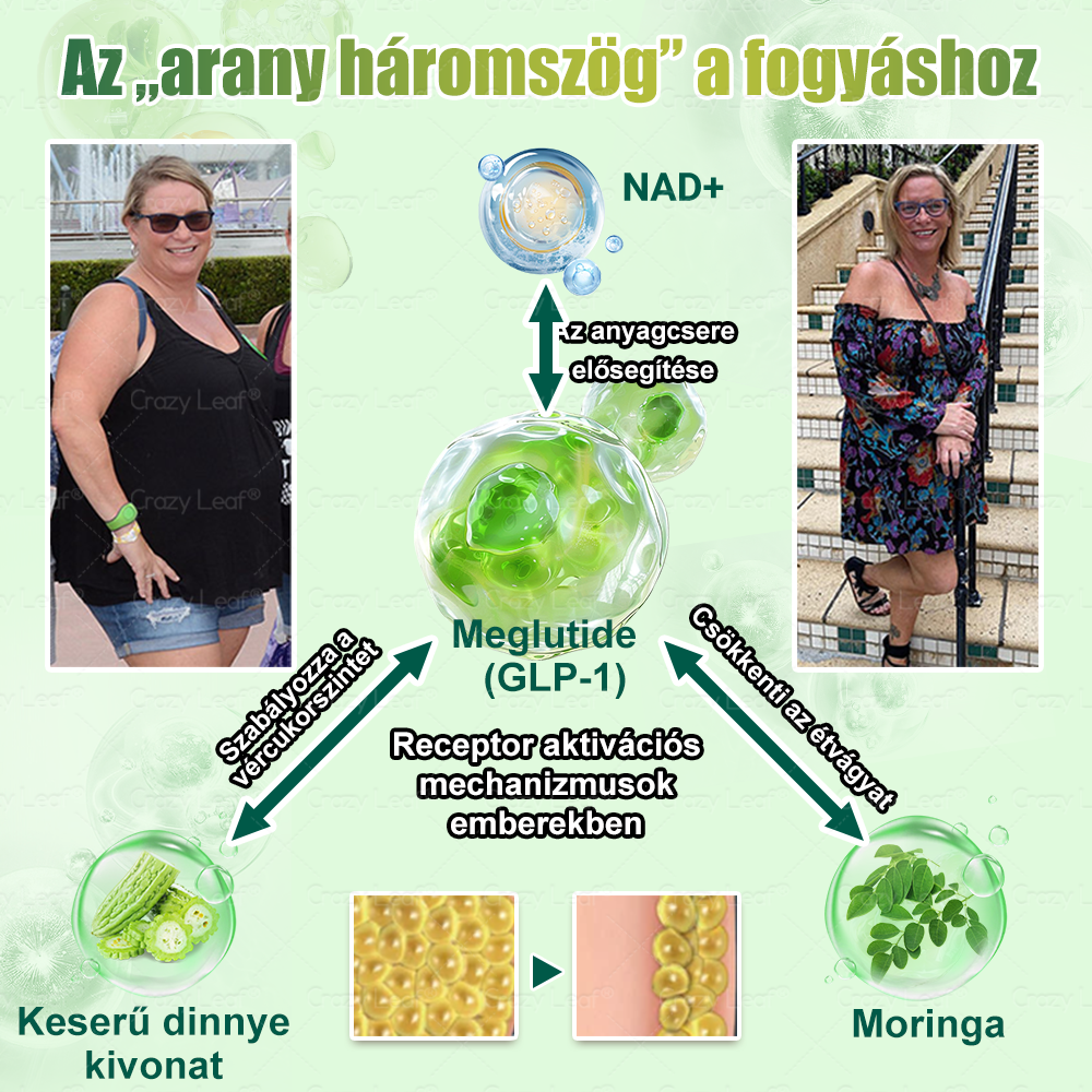 Mayo Klinika által ajánlott | ☘️CrazyLeaf® Meglutide GLP-1 Aktiváló Oralis Oldat – Tartalmaz moringát, NAD+-t és yerba matét, természetes támogatás fogyáshoz, öregedésgátláshoz és cukoranyagcseréhez